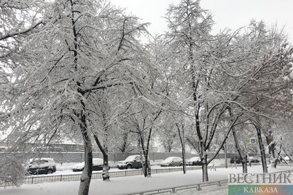 Сильнейший за эту зиму снегопад в Москве