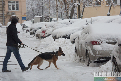 Сильнейший за эту зиму снегопад в Москве