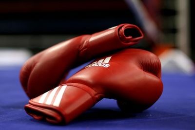 Сборная Азербайджана по боксу осталась без главного тренера