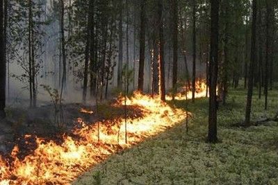 Степной пожар ограничил движение на федеральной трассе Волгоград-Сызрань
