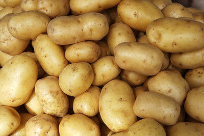 Грузинские аграрии ожидают богатый урожай картофеля