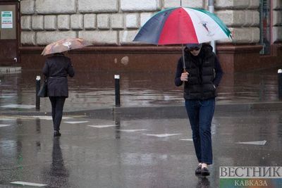 Грозы, дожди и ветер ожидаются в Центральной России в ближайшие двое суток