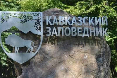 Кавказский заповедник в Сочи благоустроит туристические стоянки и маршруты к лету