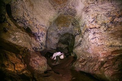 Крымская пещера &quot;Таврида&quot; первой в России будет доступна для туристов с ОВЗ