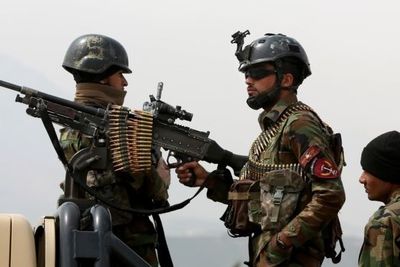 Афганские военные ликвидировали полтысячи талибов за сутки