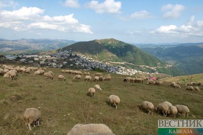 В Ногайском районе Дагестана откроется первый биосферный парк 