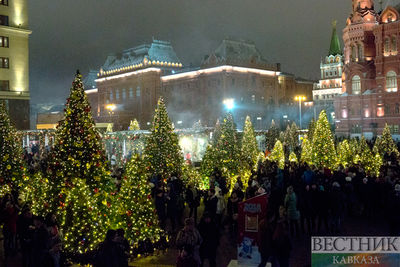 В Дагестане будут пресекать вырубку елок перед Новым годом