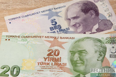Инфляция в Турции в сентябре ускорилась до 83%