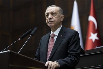 Эрдоган: Турция избавится от импорта энергоносителей