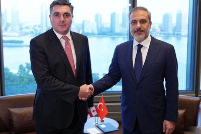 Главы МИД Грузии и Турции обсудили ситуацию в регионе