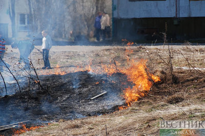 В Горийском районе сгорело 50 га сухой травы
