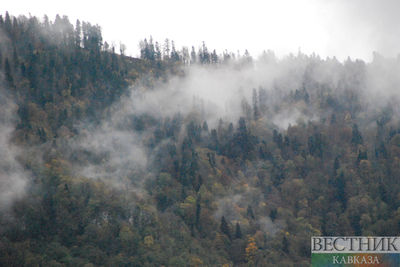 В Грузии бушуют лесные пожары