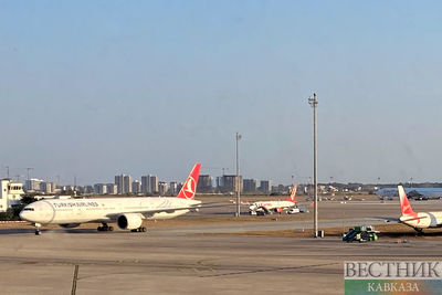 Самолет Turkish Airlines не долетел из Тбилиси в Стамбул из-за птицы