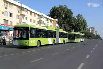 Ташкентские автобусы завтра выйдут на линии в четыре утра