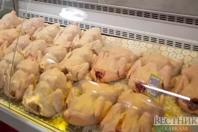 Турция намерена запретить импорт куриного мяса 