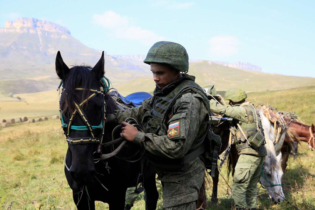 Военные лошади фото