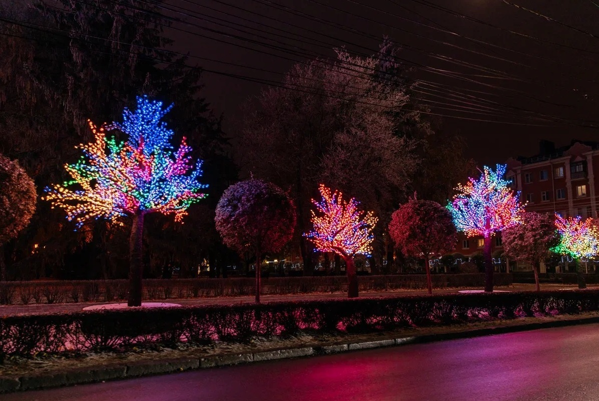 Ставрополь площадь Ленина светящиеся деревья