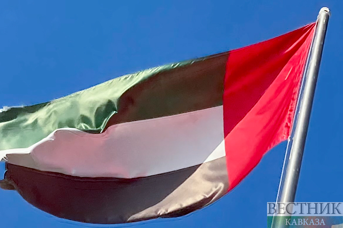 Визит Эрдогана в ОАЭ отложен из-за болезни Аль Нахайяна