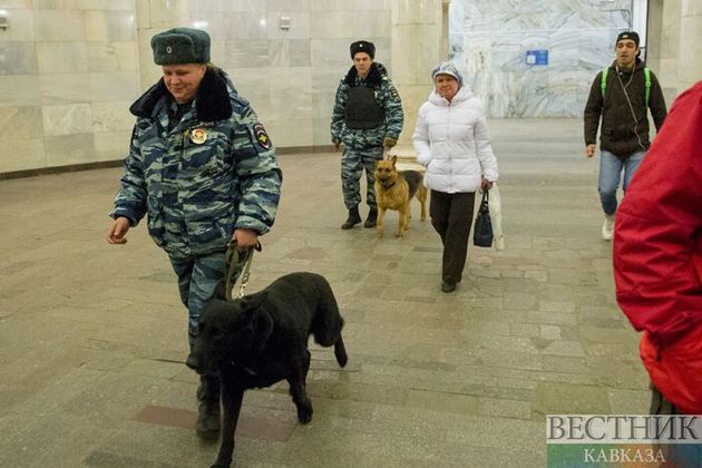 Служебная собака не пустила гуталин с героином в колонию на Ставрополье