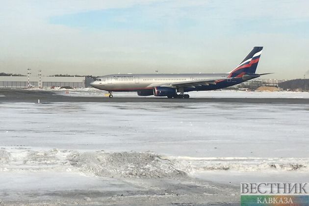 Снегопад задержал более 30 рейсов в Москве
