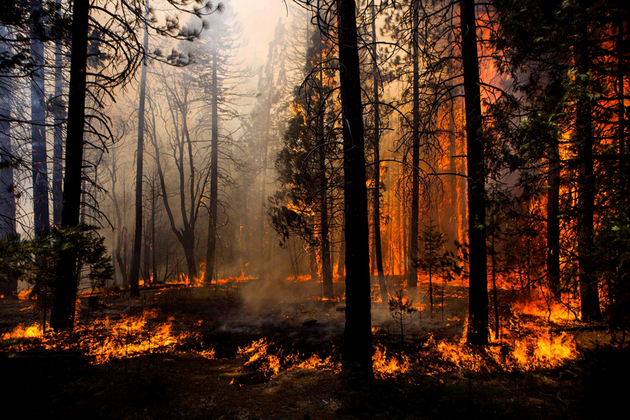 Анталью охватили лесные пожары