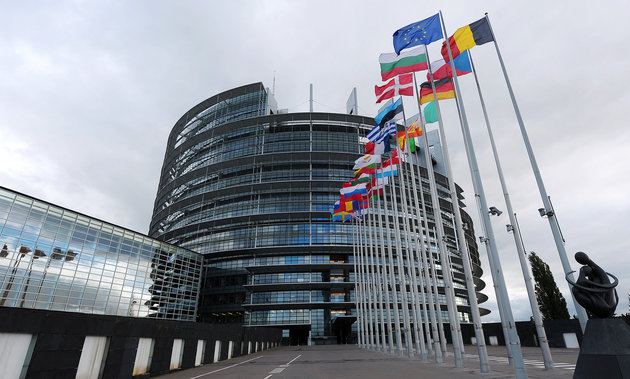 Крайне правые досрочно побеждают на выборах в Европарламент?
