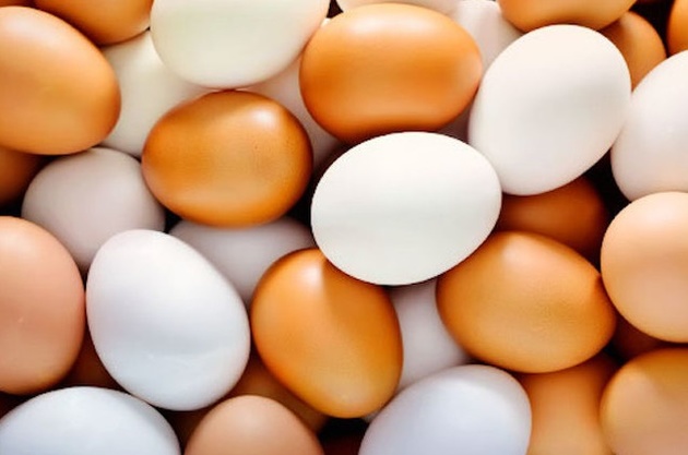 Актюбинские студенты разработали национальный инкубатор для яиц