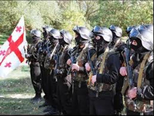 Глава грузинского спецназа отстранен от должности 