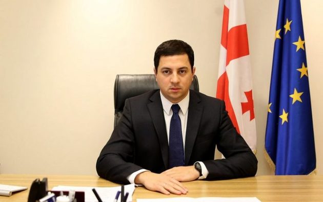 Талаквадзе: ЕНД вредит Грузии, прикрываясь псевдопатриотизмом