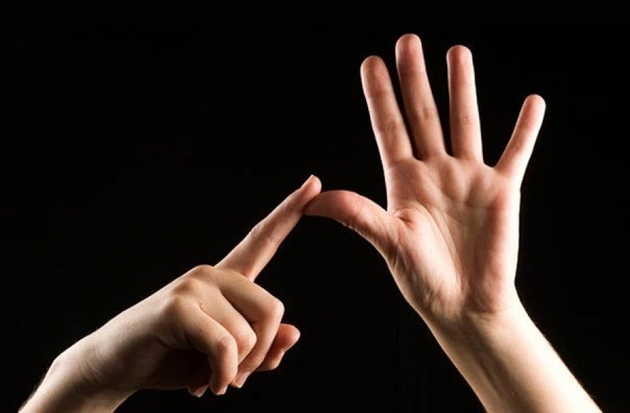 Соцработники смогут общаться на русском жестовом языке в Дагестане