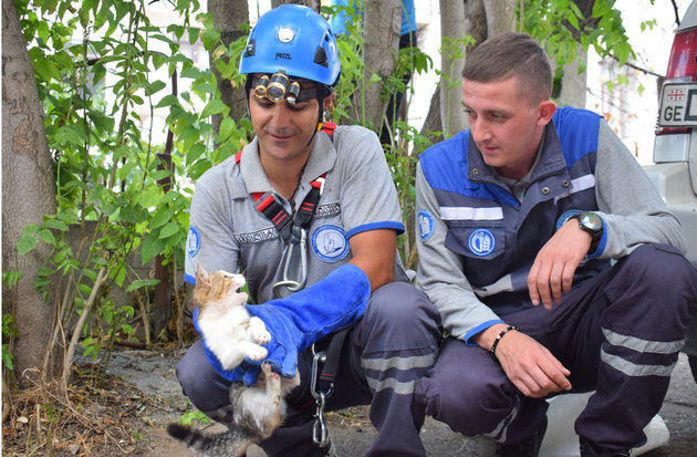 Котенка из глубокой ямы спасли в Тбилиси