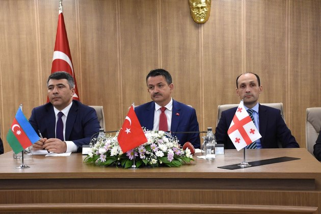 Баку, Анкара и Тбилиси подписали декларацию о фундуке