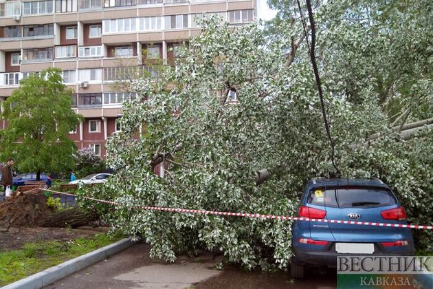 Сильный ветер в Москве повредил 36 автомобилей
