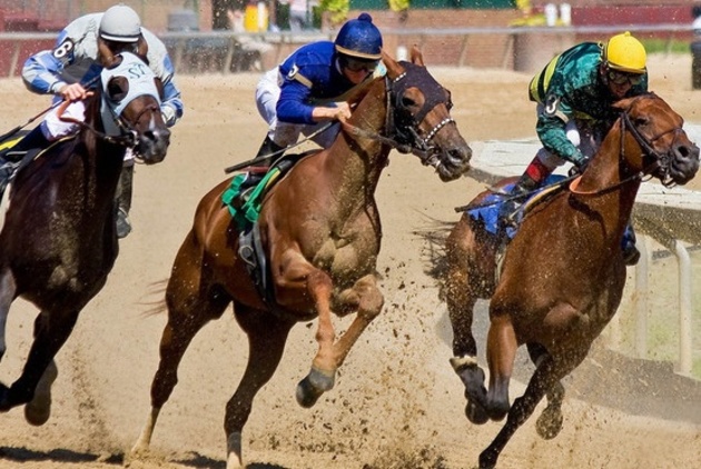 Бахмаро примет традиционные конные скачки 19 августа
