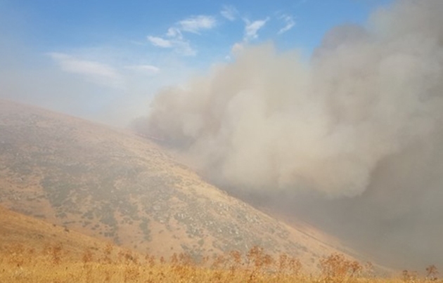 Под Ереваном разгорается пожар у подножья горы Араилер (ВИДЕО)