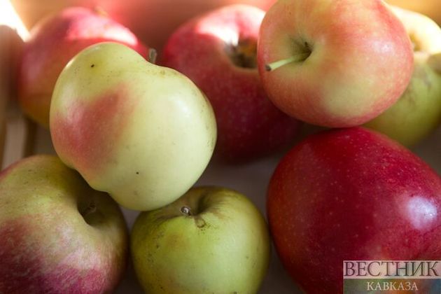 Грузия в шесть раз увеличила экспорт яблок