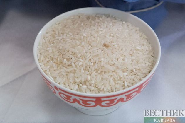 Кубань приступила к уборке риса 