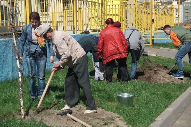 В Ростовской области пройдет большой экосубботник