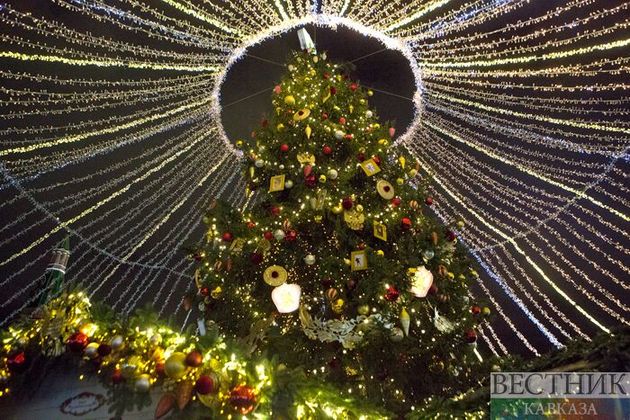 Новогодняя елка за миллион лари украсит Тбилиси