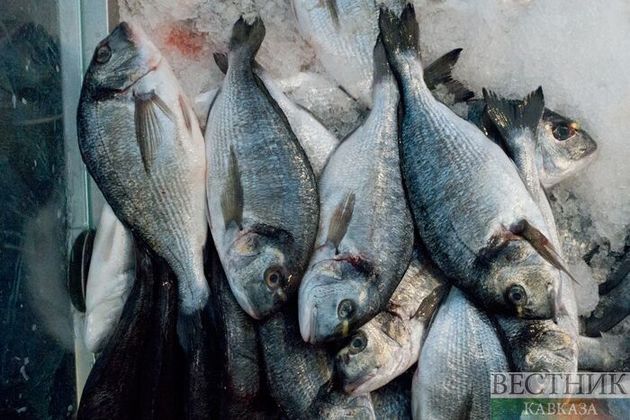 В Дагестане за незаконную ловлю рыбы задержаны двое мужчин