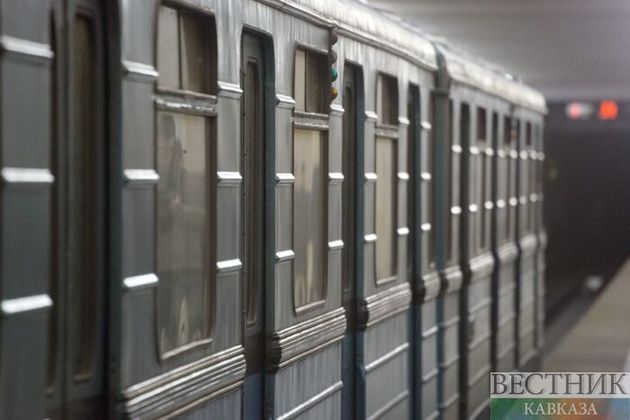 "Серая" ветка Московского метрополитена встала из-за падения пассажира