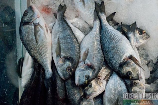 Жители Поти протестуют против заводов по переработке рыбы 