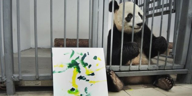 Панды начали рисовать в Московском зоопарке
