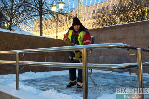 Москвичам посоветовали не ждать в январе снега и сильных морозов