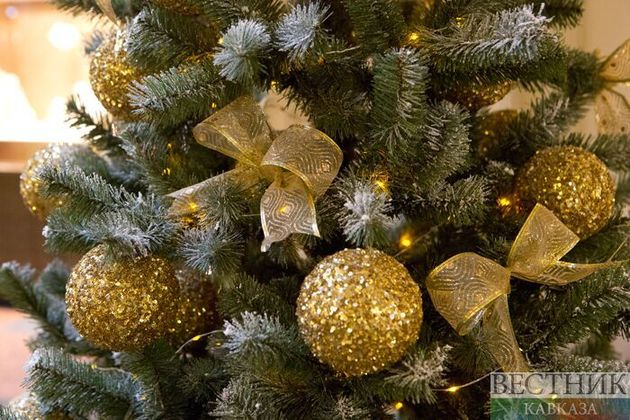 В Нальчике призвали не выбрасывать новогодние елки из квартир