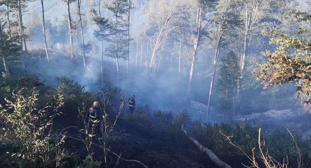 В Сванети продолжает гореть лесной пожар 