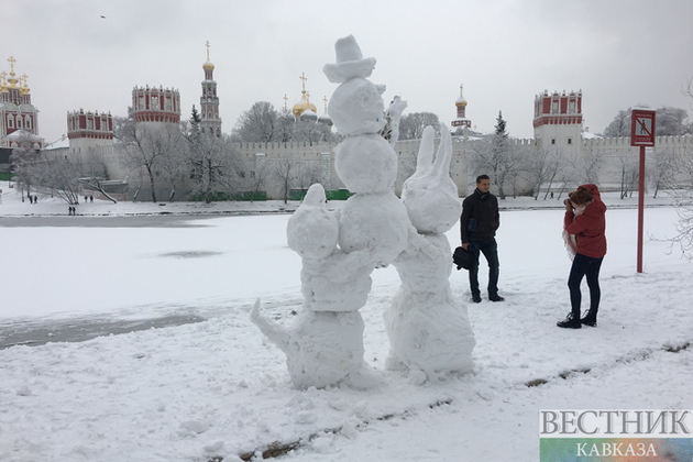 В Москве прошел первый снегопад