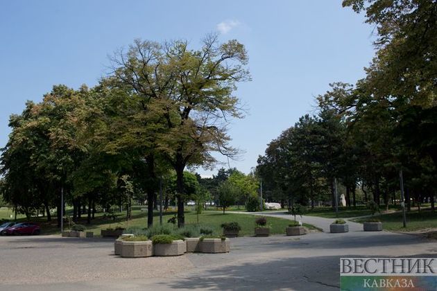 Около 4 тыс деревьев посадят к 75-летию Великой Победы в Черкесске