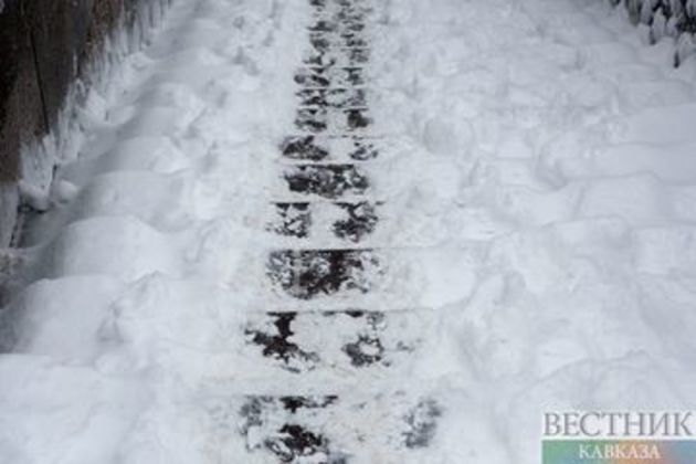 Два села в Грузии отрезаны от внешнего мира из-за снега 