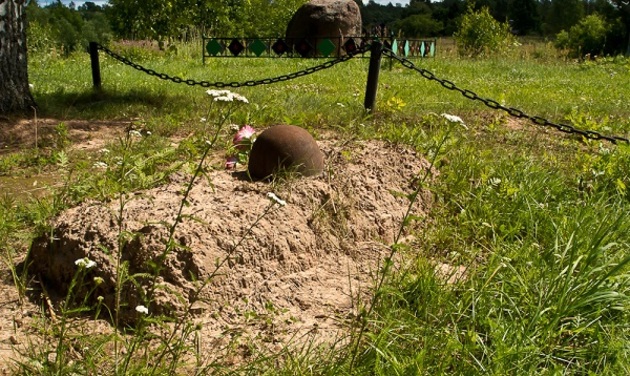 В донском парке нашли останки времен Великой Отечественной войны